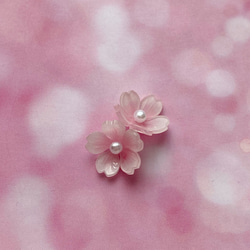桜のピアス/イヤリング 2枚目の画像