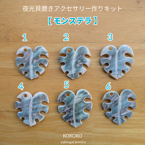 夜光貝磨きアクセサリー作りキット ✳【 モンステラ 】 キット 夜光貝
