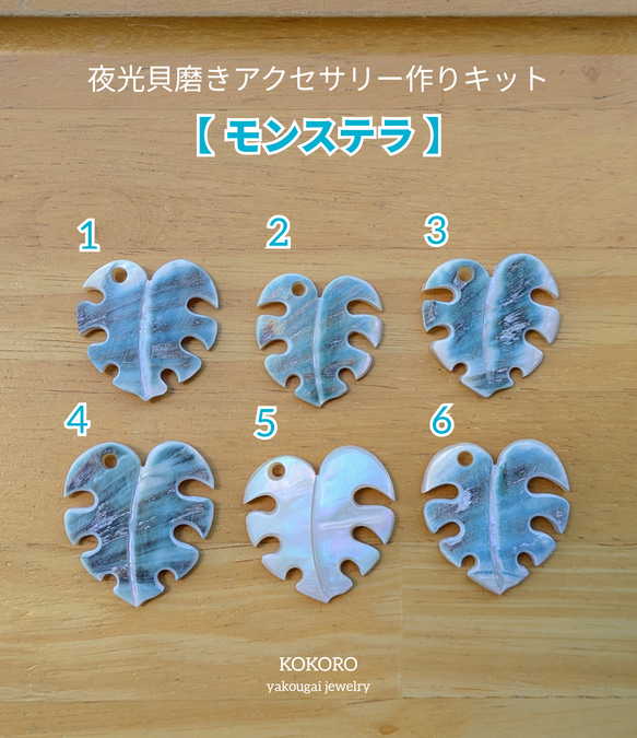 ⭐︎夜光貝⭐︎ 屋久島産 真珠磨き『夜光貝』 | 東京書芸館公式通販ウェブサイト