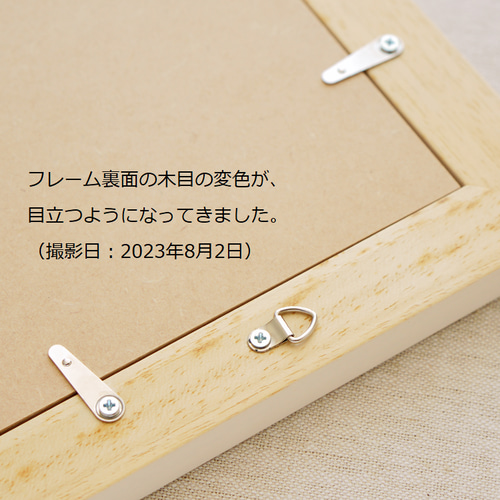 特別価格＊ 押し花とカリグラフィーのアートフレーム【コスモス】 本物