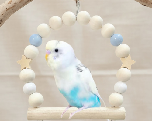 鳥用品　ブランコ　インコ　小鳥　色が選べるハート　お買い得 鳥用品 ブランコ インコ 小鳥 色が選べるハート お買い得 61Xa7OVg4vL