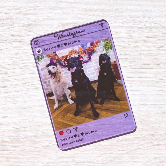SNS風フォトフレーム　｜　ワンスタグラム　うちの子　グッズ　オリジナルグッズ　写真入れ　犬　プレゼント 8枚目の画像