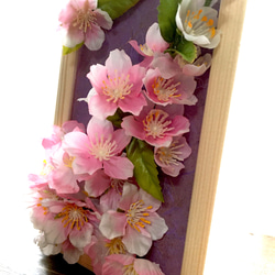 桜フレーム 2枚目の画像
