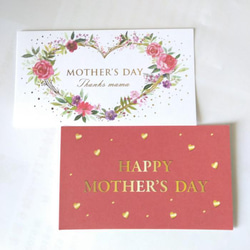 【母の日先行予約】希少種　珍しい　クルシア  可愛い人気観葉植物　無料(袋ラッピング・母の日カード)　 8枚目の画像