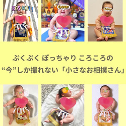 【名入れOK】赤ちゃん化粧まわし「えびすこくん」《咲き誇る花と銀の鶴・青》1歳の誕生日記念撮影衣装 13枚目の画像