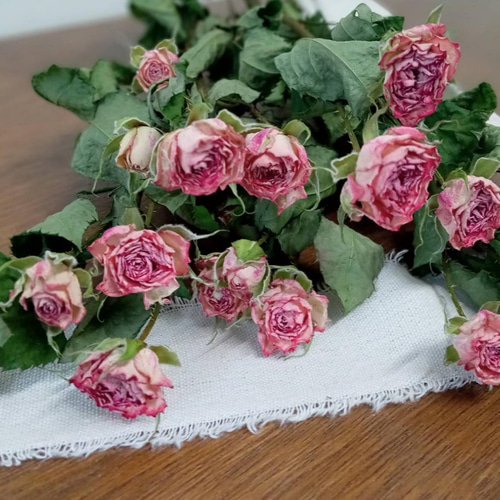 ドライフラワースプレーバラ ピンクワルツ その他素材 Rose