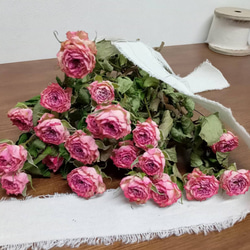 ドライフラワースプレーバラ ピンクワルツ その他素材 Rose｡｡ 通販