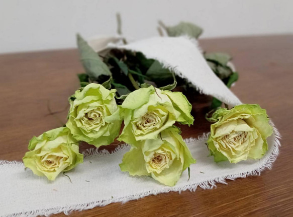 1️⃣ドライフラワー❣️訳あり スタンダードバラ ドライフラワースタンダードバラ ミントティ その他素材 Rose｡｡ 通販