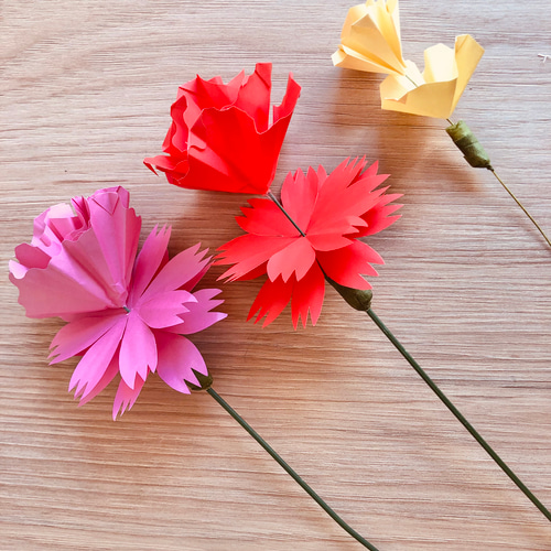 母の日ギフトに…ペーパーカーネーションクラフトキット 紙の花 その他