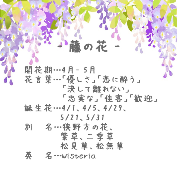 紫藤花耳環（Tsumami-zaiku *定制） 第4張的照片