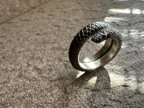 Python Ring 3枚目の画像