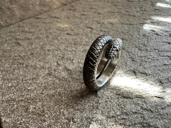 Python Ring 2枚目の画像