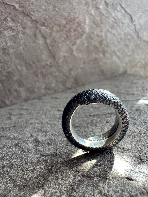 Python Ring 4枚目の画像