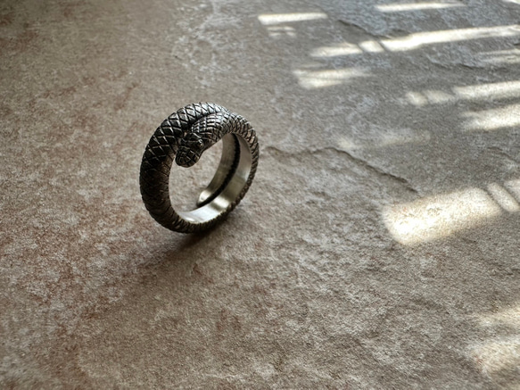 Python Ring 1枚目の画像