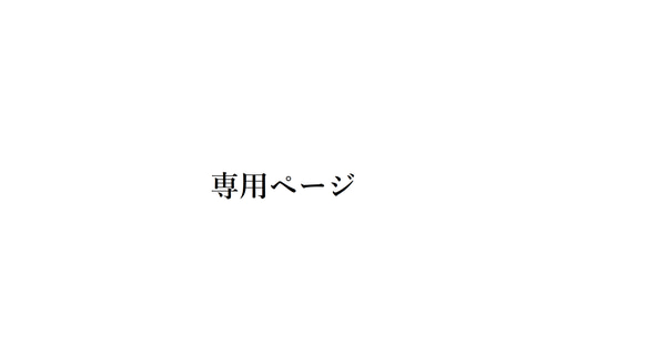 現品限り 1枚目の画像