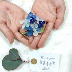 【受注生産】本物の紫陽花アナベルブローチ　クリップ　ヘアクリップ　ヘアピン　帯留め　コサージュ　ブルー 1枚目の画像