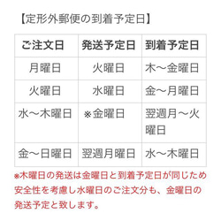 【アライグマ】「呼んだ？」ブローチ 11枚目の画像