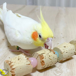 【鳥のおもちゃ】たっぷりコルクのおもちゃ 5枚目の画像