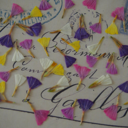 ドライフラワー スターチス 紫系 ミックス 2杯 キャンドル ハー