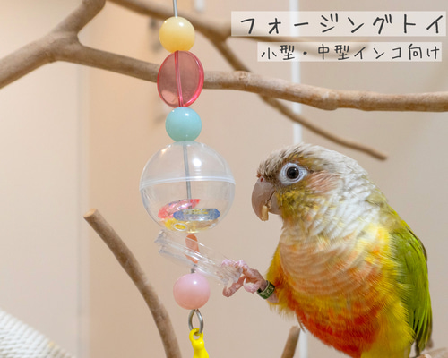 レオルナ様 リクエスト 6点 まとめ商品91フォージングトイ　バードトイ　インコ フォージングトイボール」バードトイ インコ 鳥 おもちゃ①