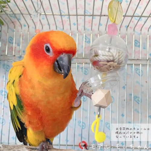 鳥のおもちゃ〈小型・中型インコ向け〉】カラフルおやつカプセルの