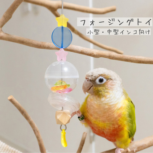 鳥のおもちゃ〈小型・中型インコ向け〉】カラフルおやつカプセルの