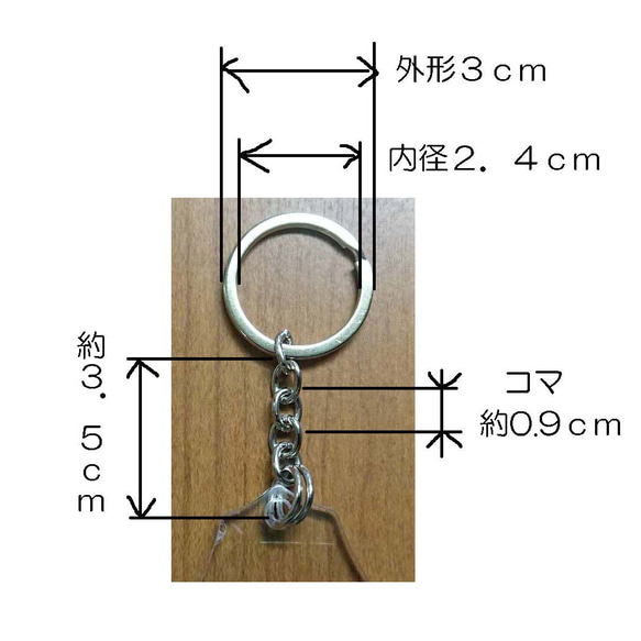  第4張的照片