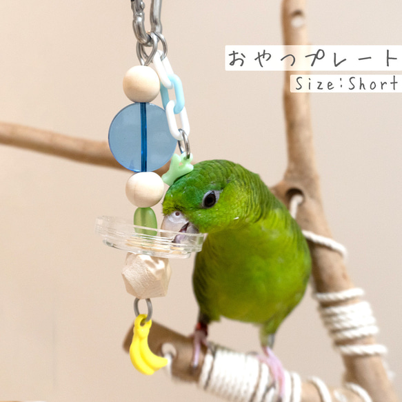 【鳥のおもちゃ】≪イニシャル付きオリジナル♪≫　おやつプレート　Short（小型中型インコ・文鳥向け） 1枚目の画像