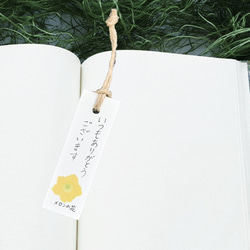 遅れてごめんね。母の日ギフトマスクメロン「1玉入り」 3枚目の画像