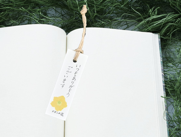 遅れてごめんね。母の日ギフトマスクメロン「1玉入り」 3枚目の画像