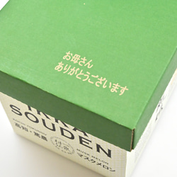 遅れてごめんね。母の日ギフトマスクメロン「1玉入り」 4枚目の画像