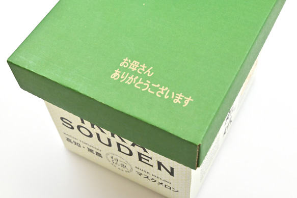 【遅れてごめんね】母の日ギフトマスクメロン「1玉入り」 4枚目の画像