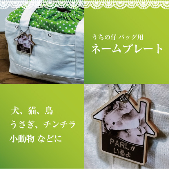 春・夏用 インコ 通院 帆布 バッグ（鳥・小動物用）オーダーメイド キャリーバッグ ○通院用 ○災害避難用 ○旅行用 11枚目の画像