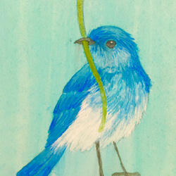 ミニ日本画　青い鳥の絵　鳥の絵画 5枚目の画像