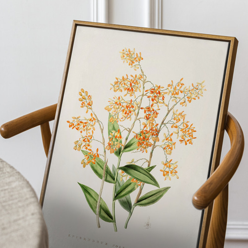 NO.105】オレンジの小花エピデンドラム☆春ナチュラルインテリアアート