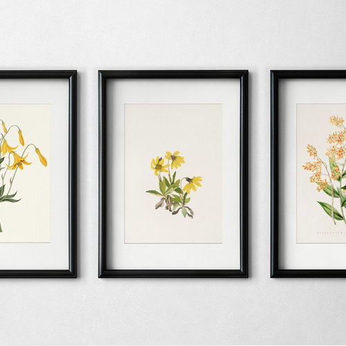 NO.105】オレンジの小花エピデンドラム☆春ナチュラルインテリアアート