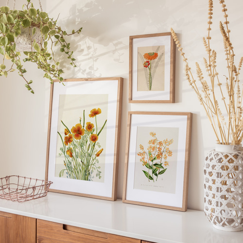 NO.105】オレンジの小花エピデンドラム☆春ナチュラルインテリアアート