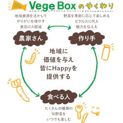 和風ピリ辛きゅうりピクルス◆おうちごはん＊ギフト＊ふるさと納税返礼品認定 9枚目の画像