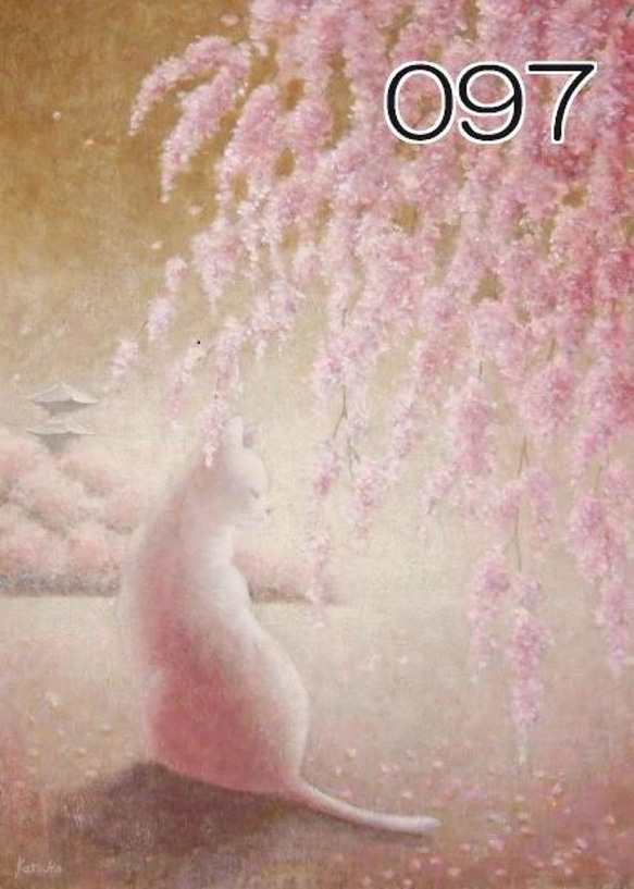 猫のポストカード（猫と花）（あやめ・ミモザ・紫式部・他）（選べる5枚セット） 14枚目の画像