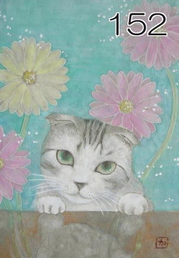 猫のポストカード（猫と花）（あやめ・ミモザ・紫式部・他）（選べる5枚セット） 16枚目の画像