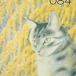 猫のポストカード（猫と花）（あやめ・ミモザ・紫式部・他）（選べる5枚セット） 13枚目の画像