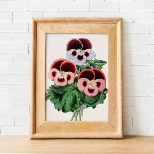 NO.110】パンジー花フラワーアートポスター☆ナチュラル玄関