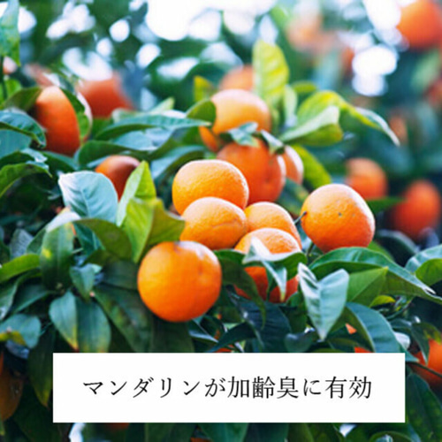 柑橘ブレンド ”エチケット・ミスト”朝霧” 香り立ちながら消臭 シトラス