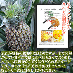 パイナップル 食べ比べ スナックパイン 〔約1kg×1〕& ピーチパイン 〔約600g×2玉〕 沖縄県 パイン フルーツ 7枚目の画像