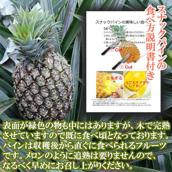 パイナップル 食べ比べ スナックパイン 〔約1kg×1〕& ピーチパイン 〔約600g×2玉〕 沖縄県 パイン フルーツ 7枚目の画像