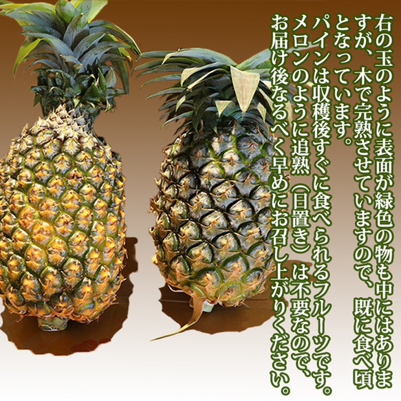 パイナップル 食べ比べ スナックパイン 〔約1kg×1〕& ピーチパイン 〔約600g×2玉〕 沖縄県 パイン フルーツ 15枚目の画像