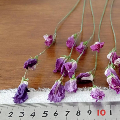 ドライフラワー スイートピー ハッピー その他素材 Rose｡｡ 通販