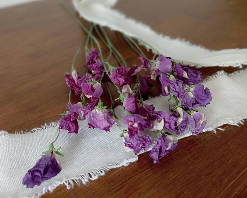 ドライフラワー スイートピー ハッピー その他素材 Rose｡｡ 通販