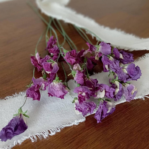 ドライフラワー スイートピー ハッピー その他素材 Rose｡｡ 通販