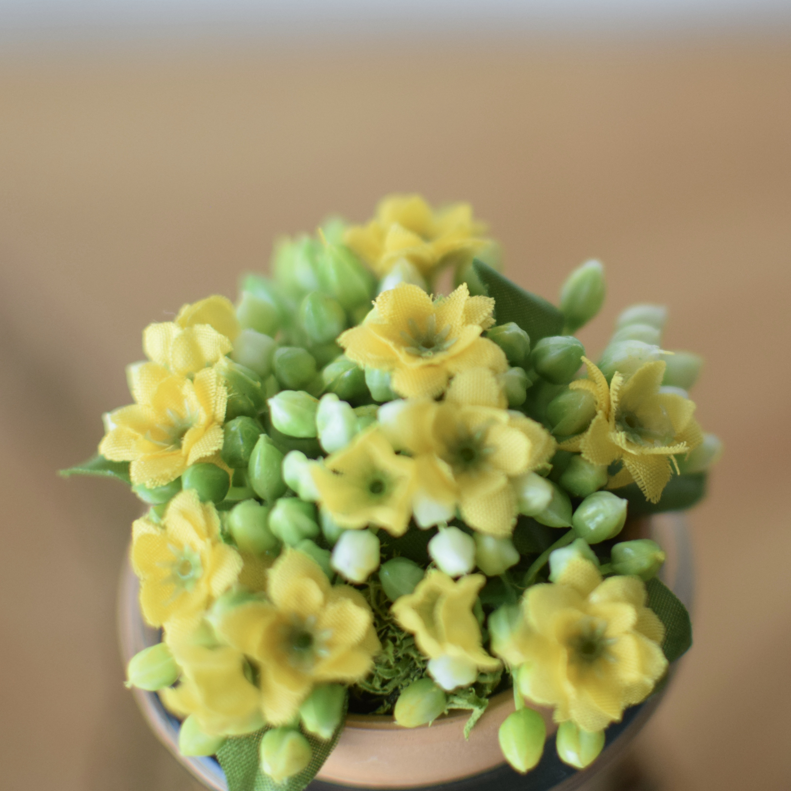 《送料無料！》枯れない 寄せ植えガーデン【木製コンテナ調】  ＊Creema限定